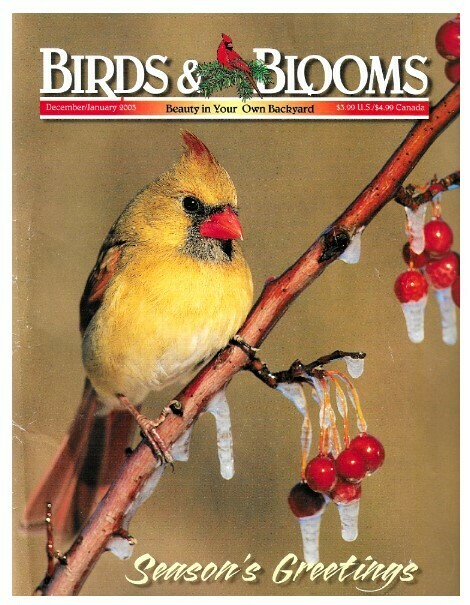 Birds + Blooms / Season&#39;s Greetings | December-January 2003
