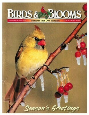 Birds + Blooms / Season&#39;s Greetings | December-January 2003