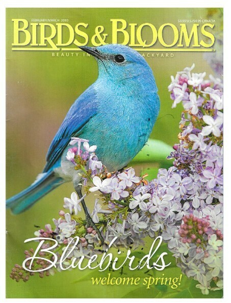 Birds + Blooms / Bluebirds - Welcome Spring! | February-March 2010