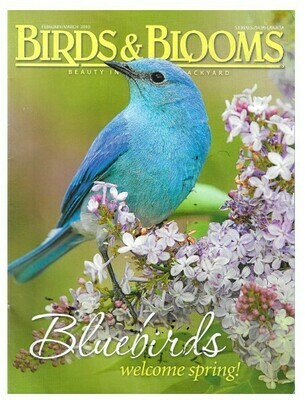 Birds + Blooms / Bluebirds - Welcome Spring! | February-March 2010