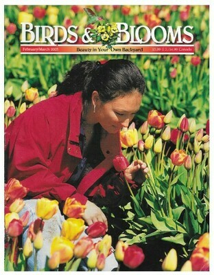 Birds + Blooms | Tulips | February-March 2003