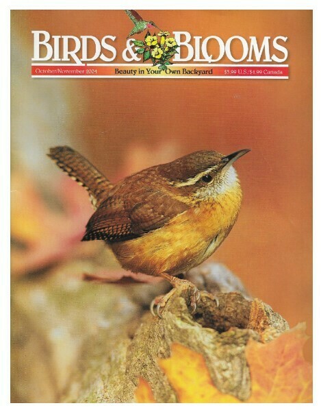 Birds + Blooms / Carolina Wren | October-November 2004