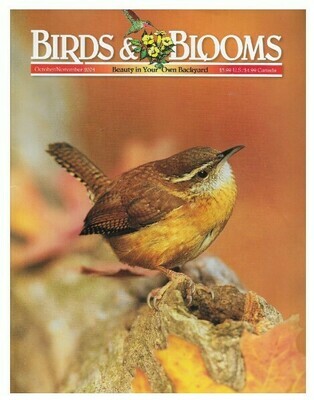 Birds + Blooms / Carolina Wren | October-November 2004