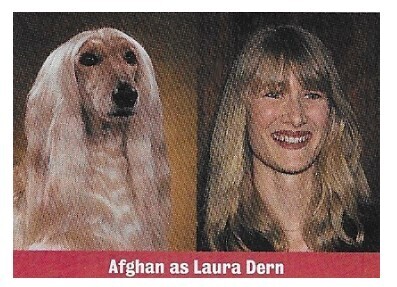 Dern, Laura / Afghan as Laura Dern / 1994