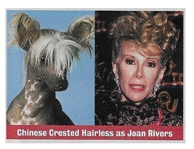Rivers, Joan / Chinese Crested Hairless as Joan Rivers / 1994