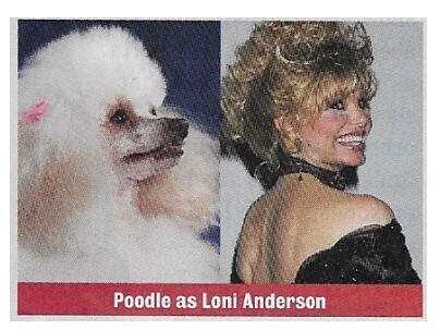Anderson, Loni / Poodle as Loni Anderson | Magazine Photo | 1994