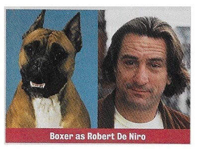 De Niro, Robert / Boxer as Robert De Niro / 1994