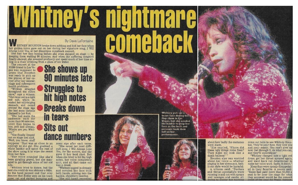 Houston, Whitney / Whitney's Nightmare Comeback / 1994