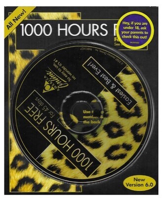 America Online / Version 6.0 | 1000 Hours Free! | 2000