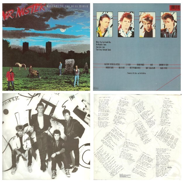 Mr. Mister / Welcome to the Real World | RCA Victor NFL1-8045 | 12 Inch Vinyl Album (33 RPM) | July 1985