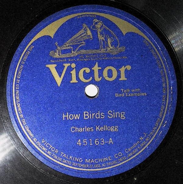 Kellogg, Charles / How Birds Sing | Victor 45163 | Talk With Bird Examples | 1919
