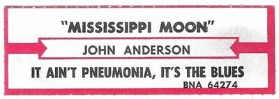 Anderson, John / Mississippi Moon | BNA 64274 | April 1995