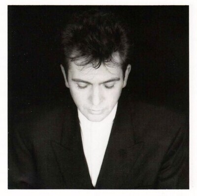 Gabriel, Peter / Shaking the Tree: Sixteen Golden Greats | Geffen 24326-2