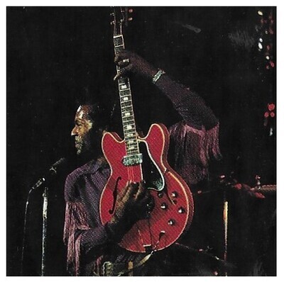 Berry, Chuck / On Stage - Red Guitar - Profile