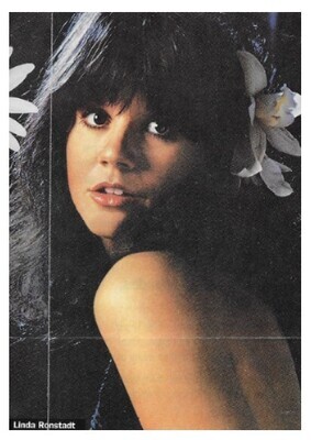 Ronstadt, Linda / Looking Over Her Shoulder - Simple Dreams Era / 1977