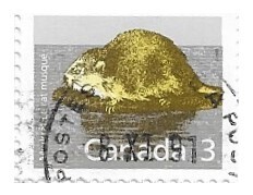 Canada / 1988 / Muskrat / 3 ¢