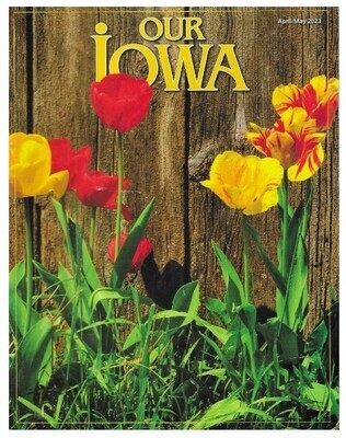Our Iowa / 2023: It's Tulip Time Across Iowa / April-May 2023