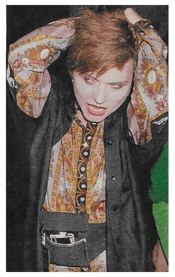 Harry, Debbie / Paisley Top-Black Vest-Brown Hair (1992)