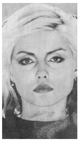Blondie / 1976: Debbie Harry Closep-1st Album Era