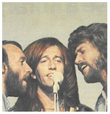 Bee Gees / 1980: On Stage-Closeup-Maurice On Left (#3)