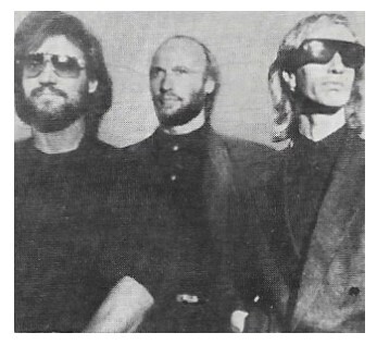 Bee Gees / All Three-Robin and Barry Wearing Sunglasses
