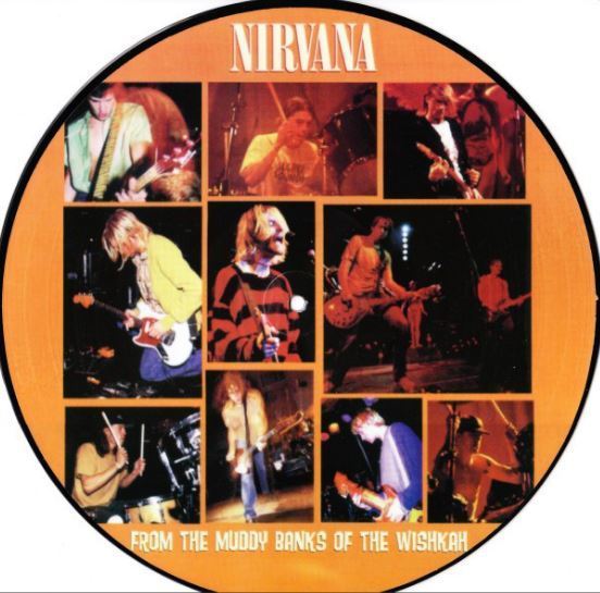 Nirvana / From the Banks of the Muddy Wishkah (1996) / Geffen 072660P (Album, 12 Inch, Picture Disc)