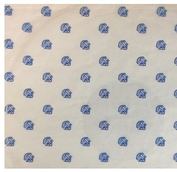 Warner Bros. / Clear with Blue Logos