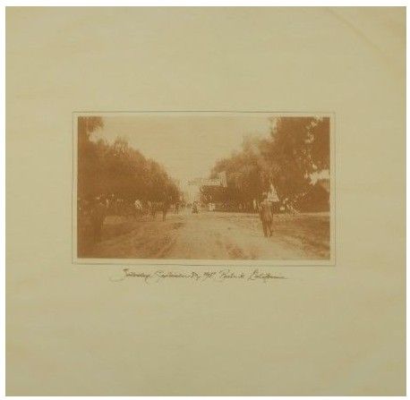 Warner Bros. / The Warner-Reprise Loss Leaders (1974)