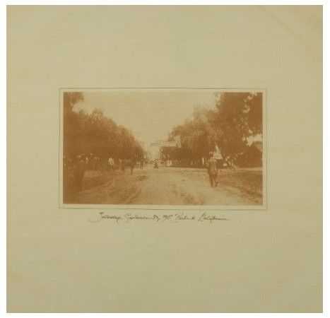 Warner Bros. / The Warner/Reprise Loss Leaders (1972) / Off-White with Brown Print