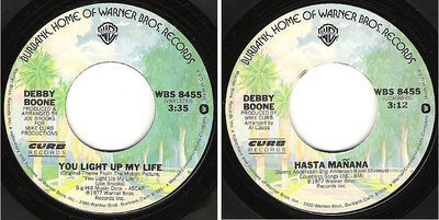 Boone, Debby / You Light Up My Life (1977) / Warner Bros. WBS-8455 (Single, 7&quot; Vinyl)