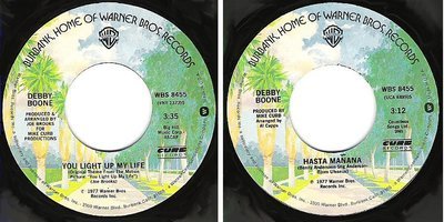 Boone, Debby / You Light Up My Life (1977) / Warner Bros. WBS-8455 (Single, 7&quot; Vinyl)