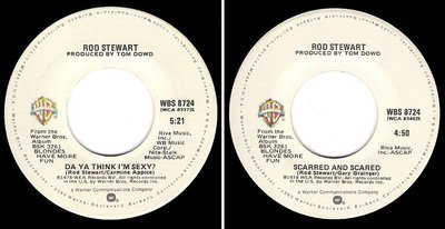 Stewart, Rod / Da Ya Think I&#39;m Sexy? (1978) / Warner Bros. WBS-8724 (Single, 7&quot; Vinyl)