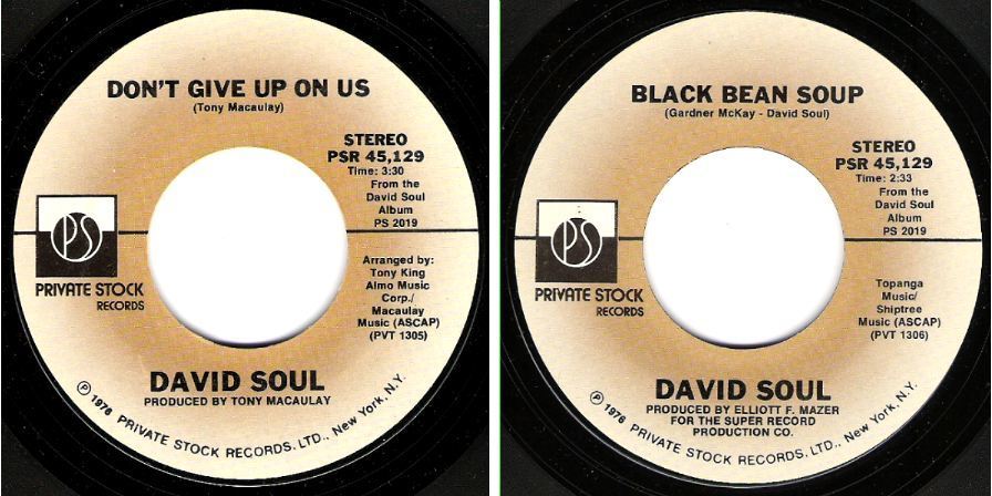 Soul, David / Don&#39;t Give Up On Us (1976) / Private Stock PSR-45,129 (Single, 7&quot; Vinyl)