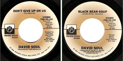 Soul, David / Don&#39;t Give Up On Us (1976) / Private Stock PSR-45,129 (Single, 7&quot; Vinyl)