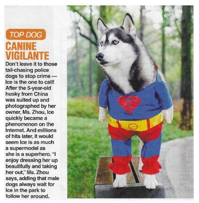 Animals (Dogs) / Canine Vigilante (March 2010)
