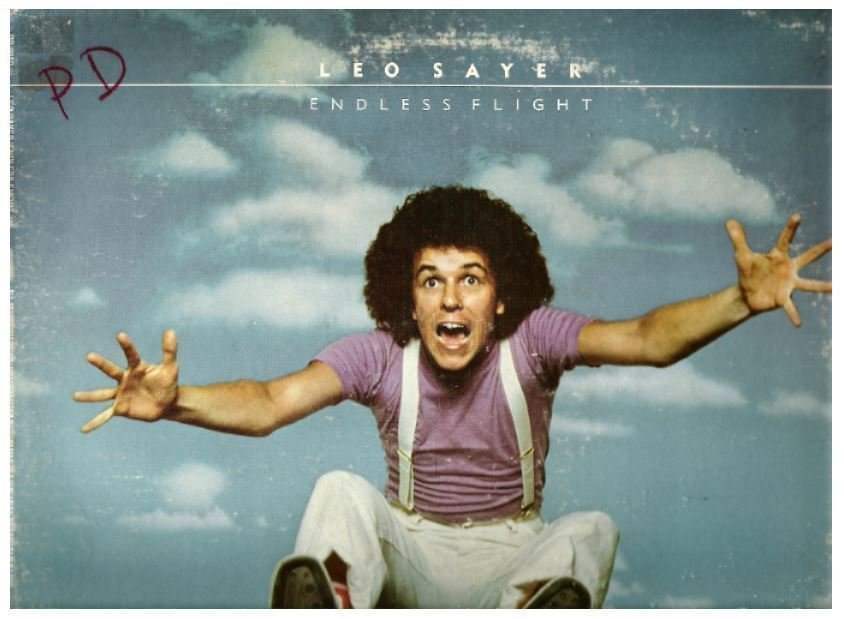 Sayer, Leo / Endless Flight (1976) / Warner Bros. BS-2962