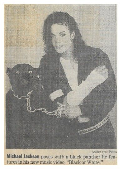 Jackson, Michael / Posing with a Black Panther (1991)