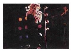 Led Zeppelin / Robert Plant On Stage-Profile
