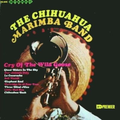 Chihuahua Marimba Band