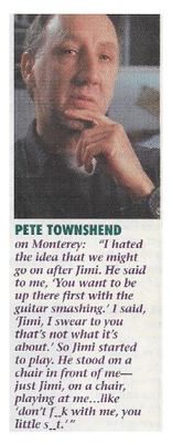 Townshend, Pete / I Hated the Idea That We Might Go on After Jimi