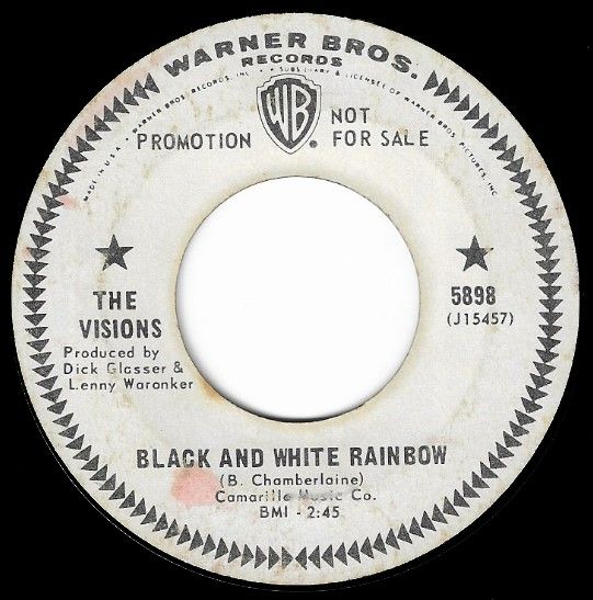 Visions, The / Black and White Rainbow