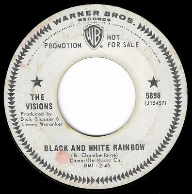 Visions, The / Black and White Rainbow