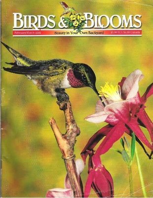 Birds + Blooms / Ruby-Throated Hummingbird / February - March 2002