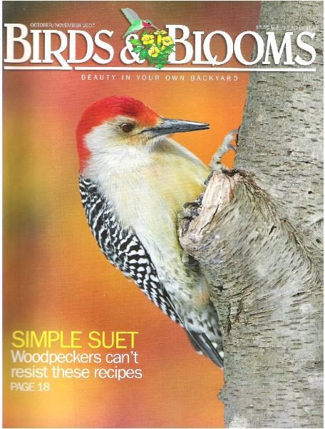 Birds + Blooms / Simple Suet / October - November 2007 | Magazine (2007)