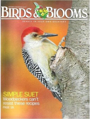 Birds + Blooms / Simple Suet / October-November 2007