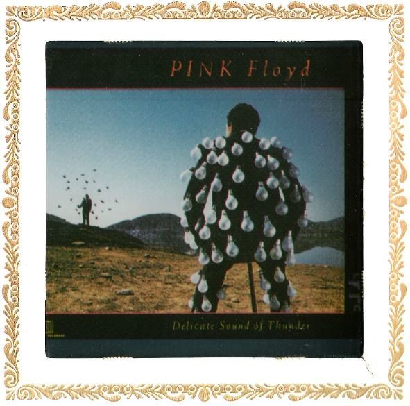 Pink Floyd / Delicate Sound of Thunder | 1988