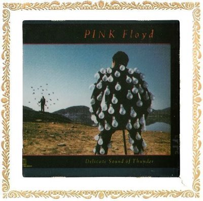 Pink Floyd / Delicate Sound of Thunder | 1988