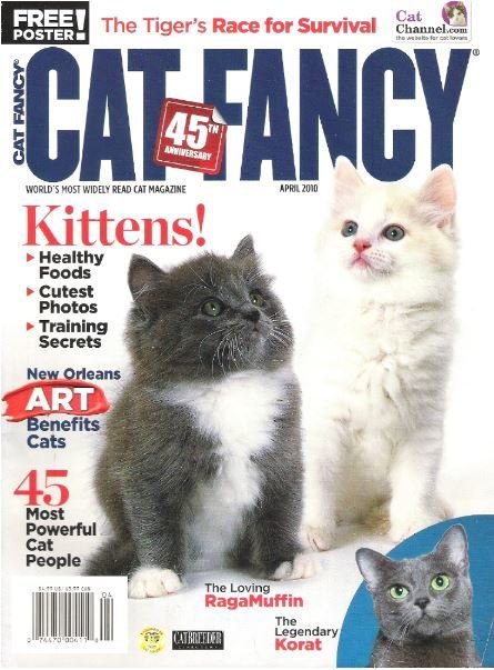 Cat Fancy / Kittens! / April 2010