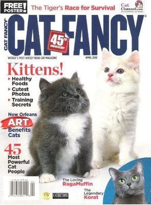 Cat Fancy / Kittens! / April 2010