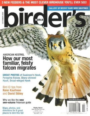 Birder's World / How Our Most Familiar, Feisty Falcon Migrates / October 2008